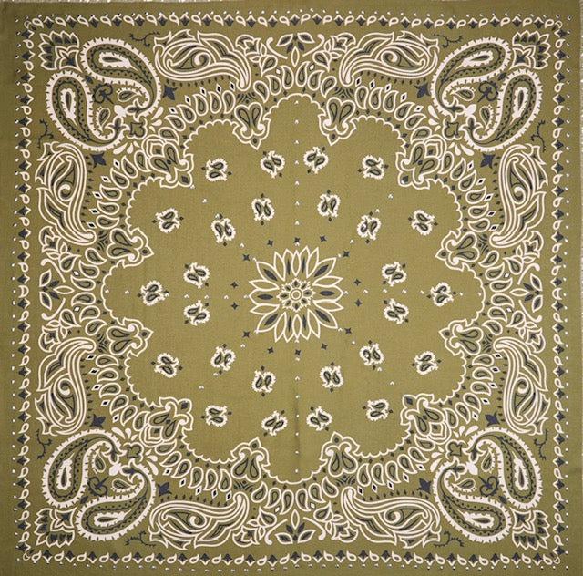 Foulard Paisley kaki - Wild