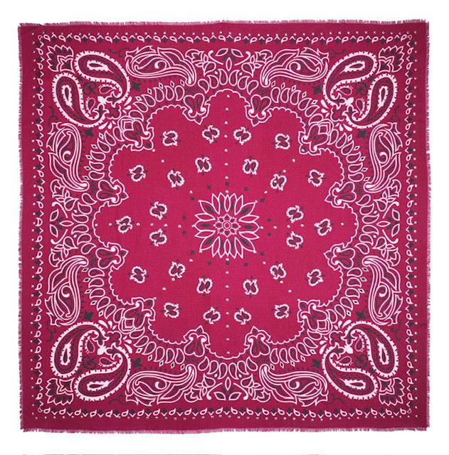Étole Paisley bordeaux - Wild