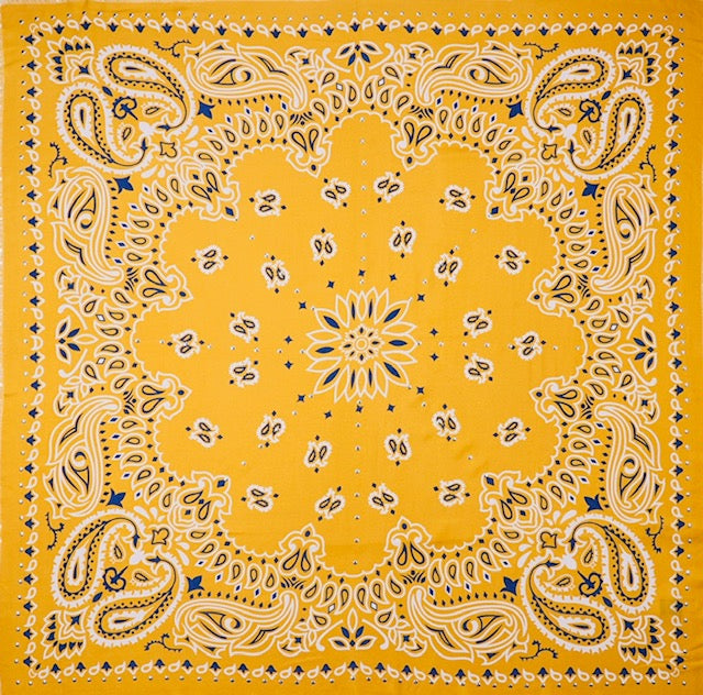 Foulard Paisley Camel - Wild
