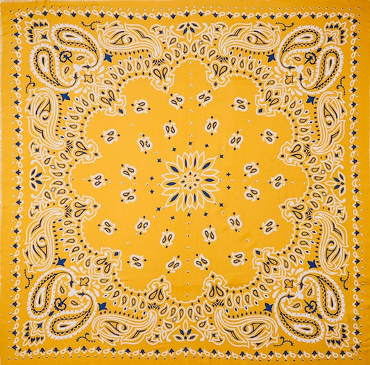 Foulard Paisley Camel - Wild