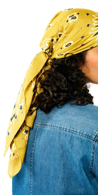 Foulard Paisley Camel - Wild