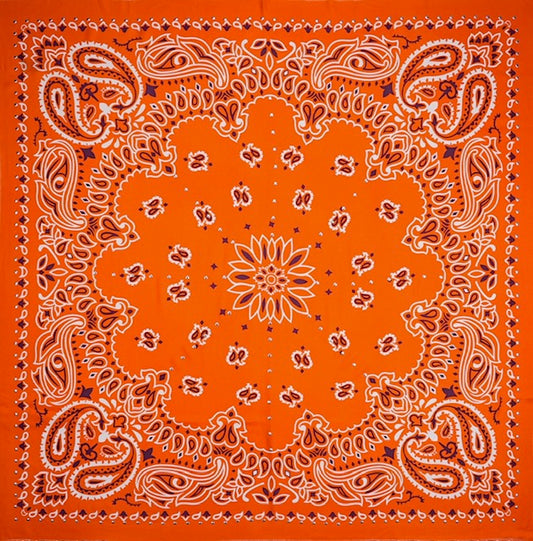 Foulard Paisley Orange éclatant - Wild