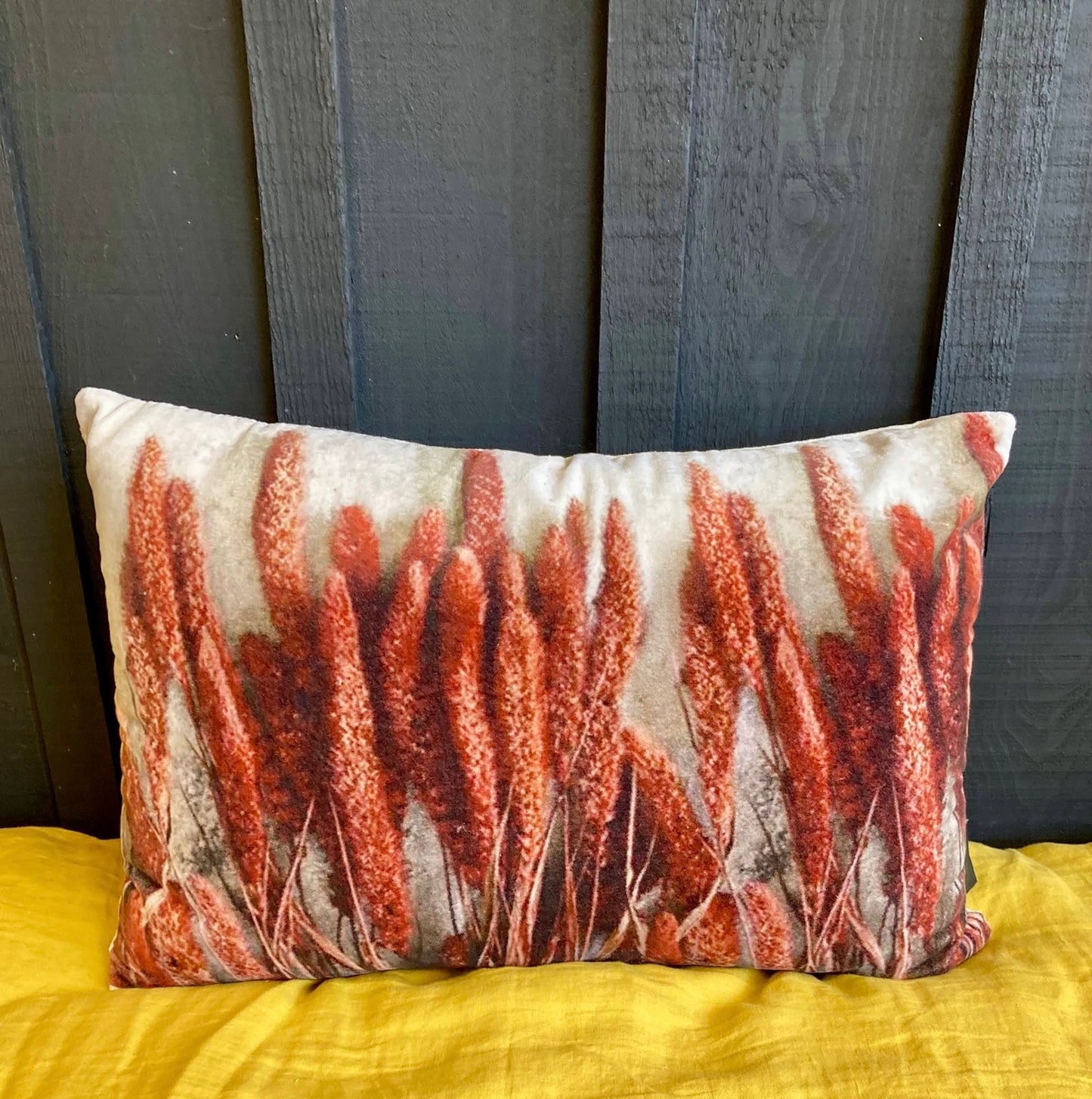 Coussin en velours pampa