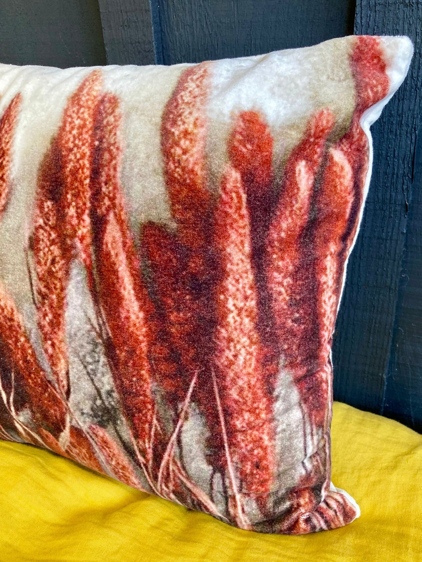 Coussin en velours pampa