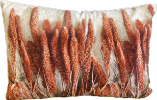 Coussin en velours pampa